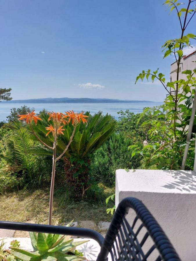 Villa Bratuš Promajna Esterno foto