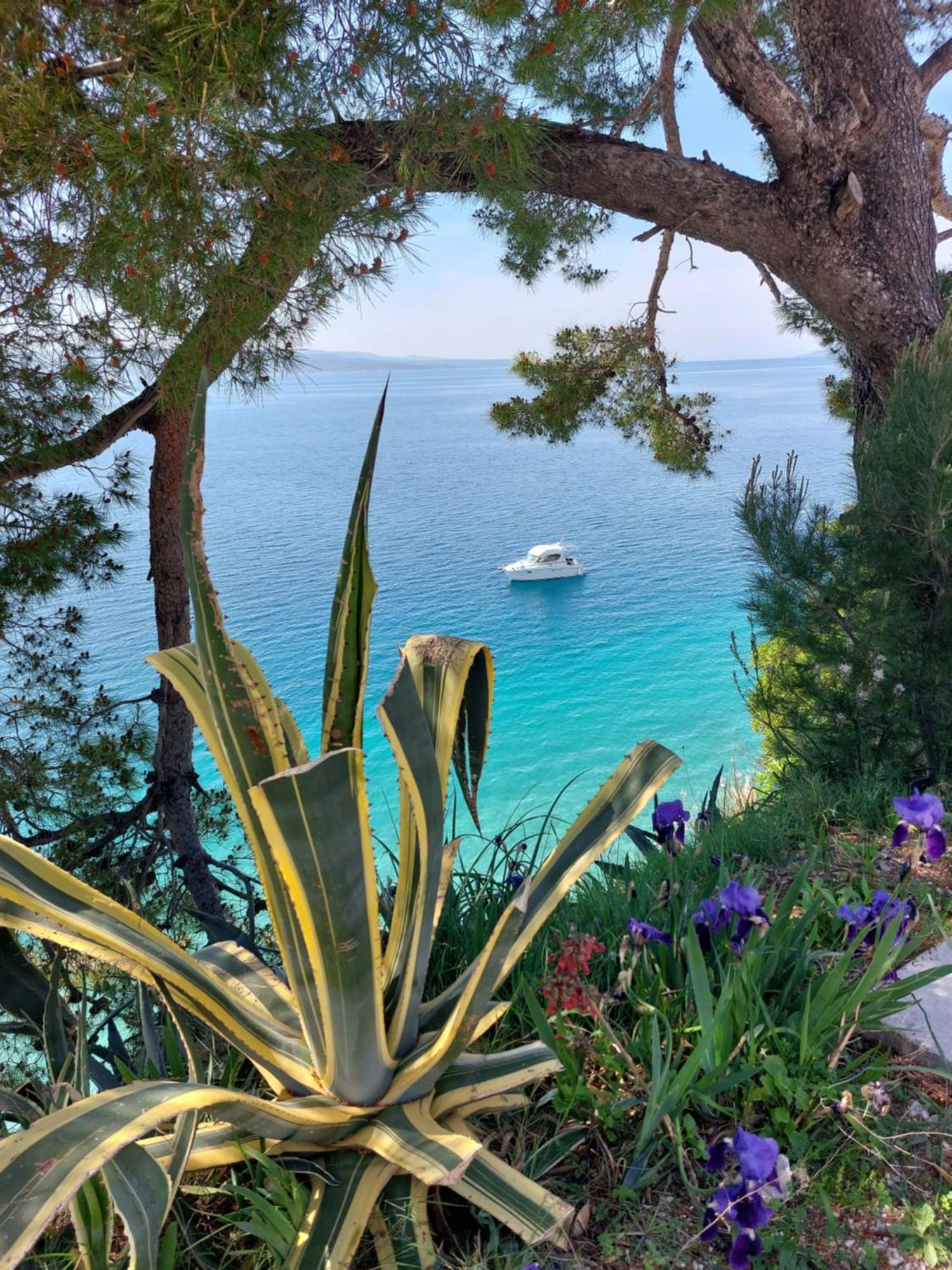 Villa Bratuš Promajna Esterno foto